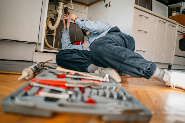 Best Toilet Repair Services  in Woodland, WA